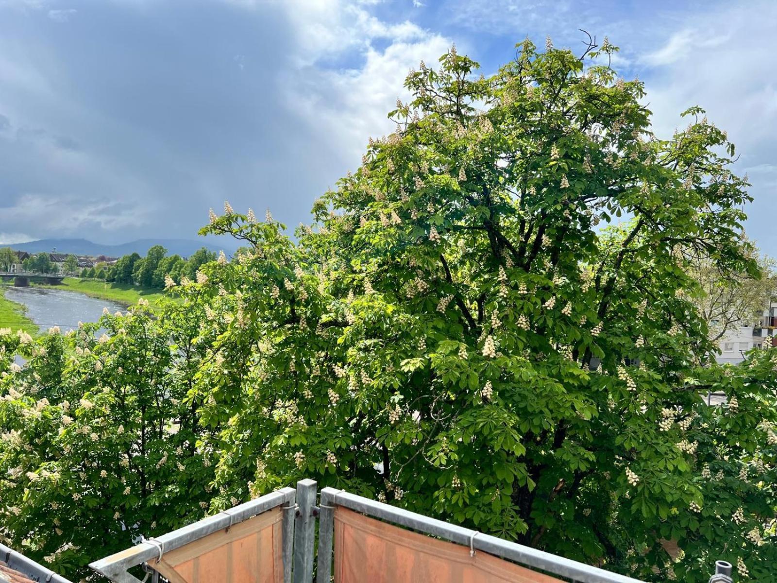 Moderne 2-Zimmer Wohnung In Rastatt Exterior foto
